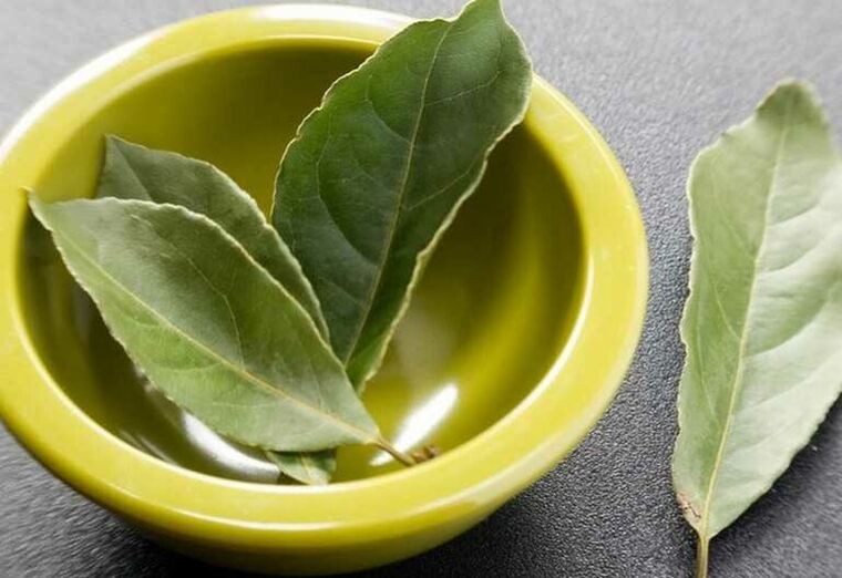 Bay leaf extract in Welltone